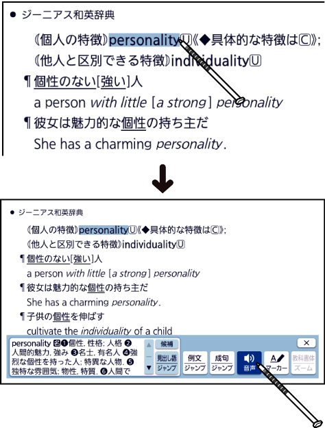 Listen_To_The_Voice 004 SA6500